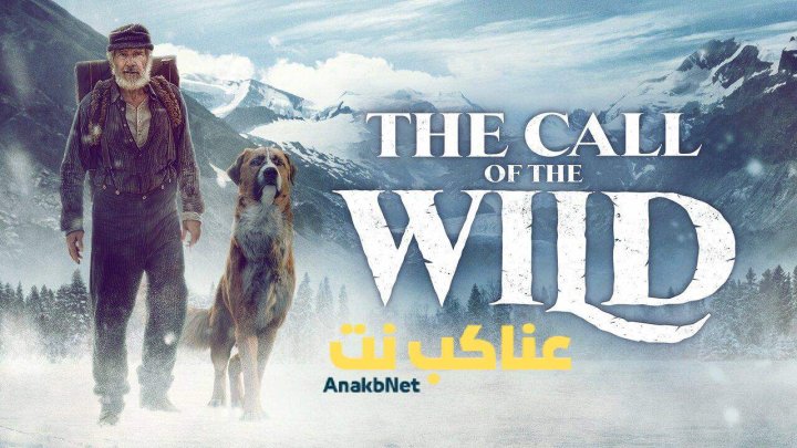 مشاهدة فيلم The Call of the Wild 2020 مترجم