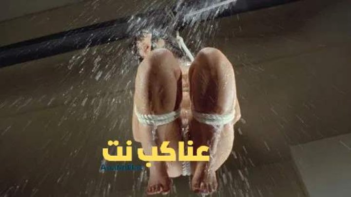 فيلم Girl and the Wooden Horse Torture 1982 مترجم